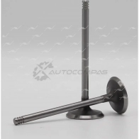 Клапан AUTOWELT VI-57004 1441177967 G8 FVZK - Изображение 2