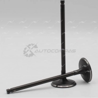 Клапан AUTOWELT 9 9TPE VI-33019 1441177882