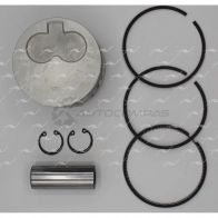 Поршень STD AUTOWELT H7R 31 1441177849 PN-33000