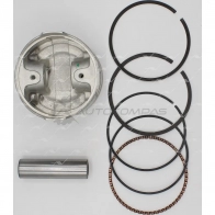 Поршень 1.00 AUTOWELT 1441177764 KZ CW7I PN-33172