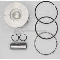 Поршень STD AUTOWELT 2SC Z2N 1441177718 PN-33060