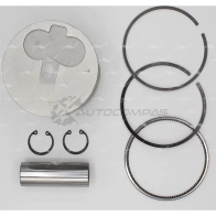 Поршень 1.00 AUTOWELT PN-34032 LC 8SY 1441178708 - Изображение 1