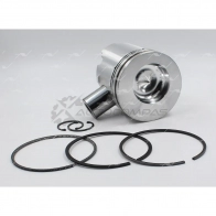 Поршень STD AUTOWELT W RYH6X PN-36080 1441179496