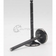 Клапан AUTOWELT VI-31006 1441176784 BA VYCK
