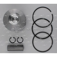 Поршень STD AUTOWELT F7OI W PN-36030 1441179491