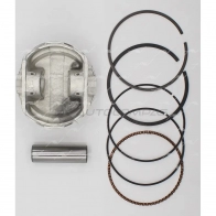 Поршень 1.00 AUTOWELT PN-31022 XWZ 59V 1441176777 - Изображение 3