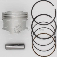 Поршень 1.00 AUTOWELT PN-31102 3K I51KU 1441176745 - Изображение 2