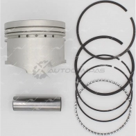 Поршень STD AUTOWELT PN-31110 1441176743 CV4 NT7D - Изображение 1