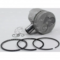 Поршень STD AUTOWELT PN-60010 1441176681 31V N2 - Изображение 3