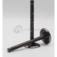 Клапан AUTOWELT ZYYSL A VI-60003 1441176651