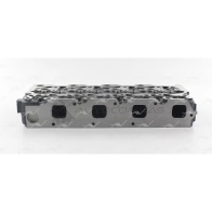 Головка блока AUTOWELT 1441176594 ZK-60006 QXVK1 9