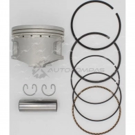 Поршень STD AUTOWELT PN-34190 Z XTV7 1441178668