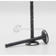 Клапан AUTOWELT VI-60006 HG Z1RS 1441176508