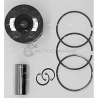 Поршень AUTOWELT CZLJB3 1 PN-32210 1441177445