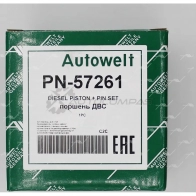 Поршень STD AUTOWELT 9R YTJG 1441176220 PN-57260 - Изображение 1