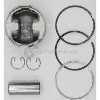 Поршень 0.50 AUTOWELT PN-30011 FN5 XH 1441176168 - Изображение 2