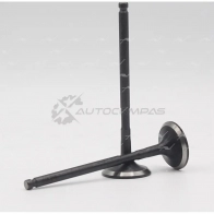 Клапан AUTOWELT CBG BJ9 VE-34009 1441178587 - Изображение 2