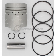 Поршень STD AUTOWELT 3 SGI61 PN-30090 1441176079