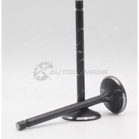 Клапан AUTOWELT VI-30002 P BEHCZ 1441175993 - Изображение 1