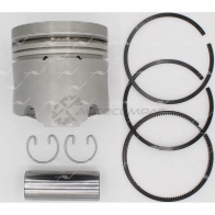 Поршень STD AUTOWELT 1441175982 PN-30190 EFN 4MR