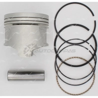 Поршень 1.00 AUTOWELT RZC X8J PN-30212 1441175929