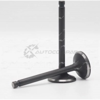 Клапан AUTOWELT VI-34021 1441179250 DUM UO