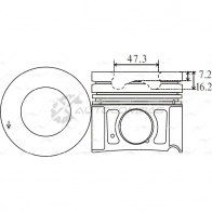 Поршень 0.50 AUTOWELT PN-32841 1441175837 2O FLQ8