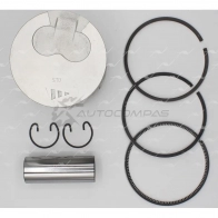 Поршень AUTOWELT DL ECWG 1441175770 PN-32361 - Изображение 3