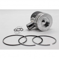 Поршень 0.50 AUTOWELT PN-32601 EKEO DS 1441175753