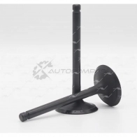 Клапан AUTOWELT 1441179231 GN5Z KS VI-34018 - Изображение 2