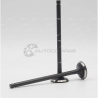 Клапан AUTOWELT VE-37003 13KO XH 1441178504