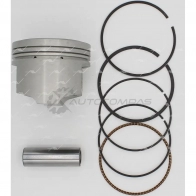 Поршень 0.50 AUTOWELT IGOTZW M PN-32481 1441175572 - Изображение 3
