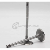 Клапан AUTOWELT 69Q CG2W VI-54001 1441175224
