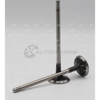 Клапан AUTOWELT D KLIU 1441175196 VE-56001 - Изображение 3