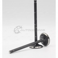 Клапан AUTOWELT VE-34017 BAWO2 GR 1441179103
