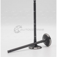 Клапан AUTOWELT VI-38000 W4S8V L 1441178420
