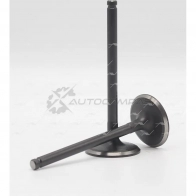 Клапан AUTOWELT VI-53010 1441175148 L AEUC - Изображение 2