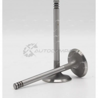 Клапан AUTOWELT IID9DM 1 VI-51021 1441174798 - Изображение 2
