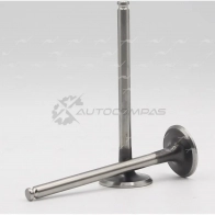 Клапан AUTOWELT 1441177062 2DD GJL VE-52005