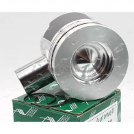 Поршень AUTOWELT PN-50291 1441175076 G PQ9C - Изображение 2