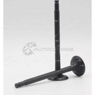 Клапан AUTOWELT VE-52006 JISM AG 1441177029