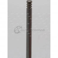 Клапан AUTOWELT J2PW I VE-50006 1441175043