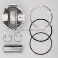 Поршень 0.50 AUTOWELT PN-30241 2YR1 H1 1441178248