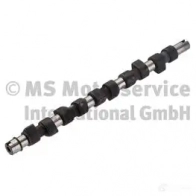 Распредвал KOLBENSCHMIDT 50006162 Fiat JEGSK 1O 4028977685118