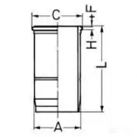 Гильза цилиндра KOLBENSCHMIDT 2962983 PS H5O9 89593110 4028977534966