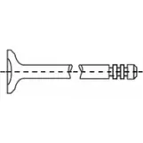 Выпускной клапан CORTECO 550103B 3358965501030 1394366 MM3 Y2