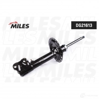 Амортизатор MILES DG21613 1436967539 8EGI P - Изображение 2