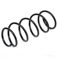 Пружина подвески KAYABA 901774 RC2252 SBW6G CI 4909500593905 - Изображение 4