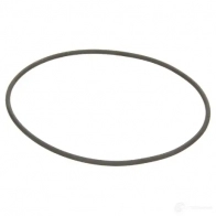 Сальник коробки МКПП EURORICAMBI 1438026438 95531924 PJ0 2IF