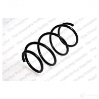 Пружина подвески LESJOFORS Bmw 3 (E46) 4 Купе 3.0 330 xi 231 л.с. 2000 – 2006 4008445 1XTZN33 22 389613